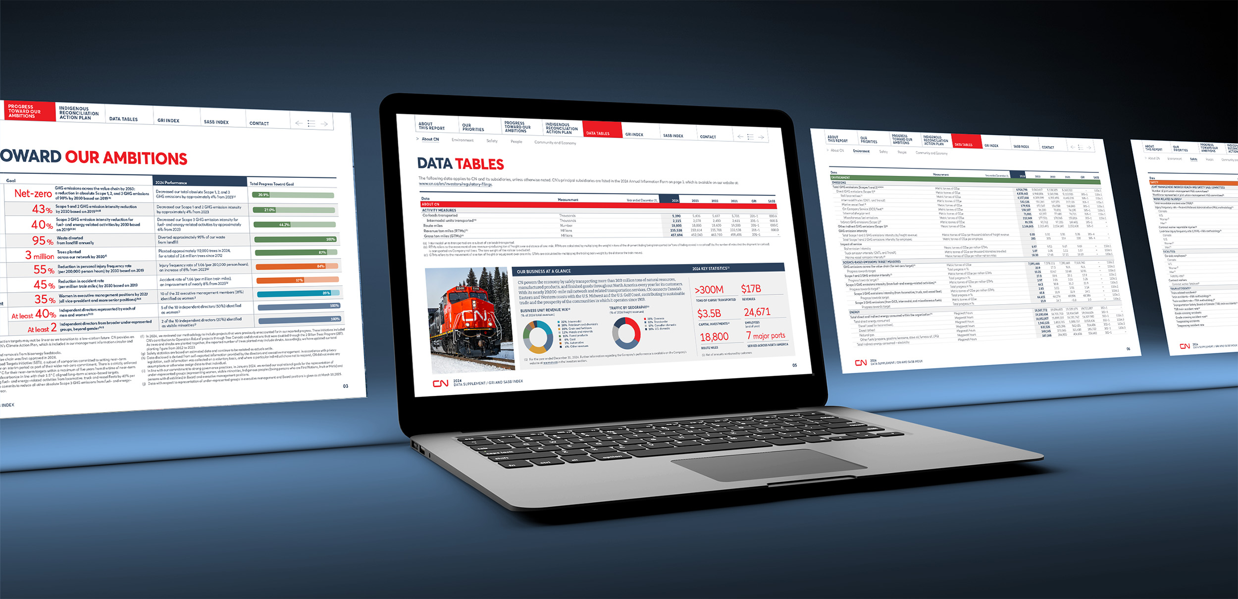 CN DataSupp2024_Multi2