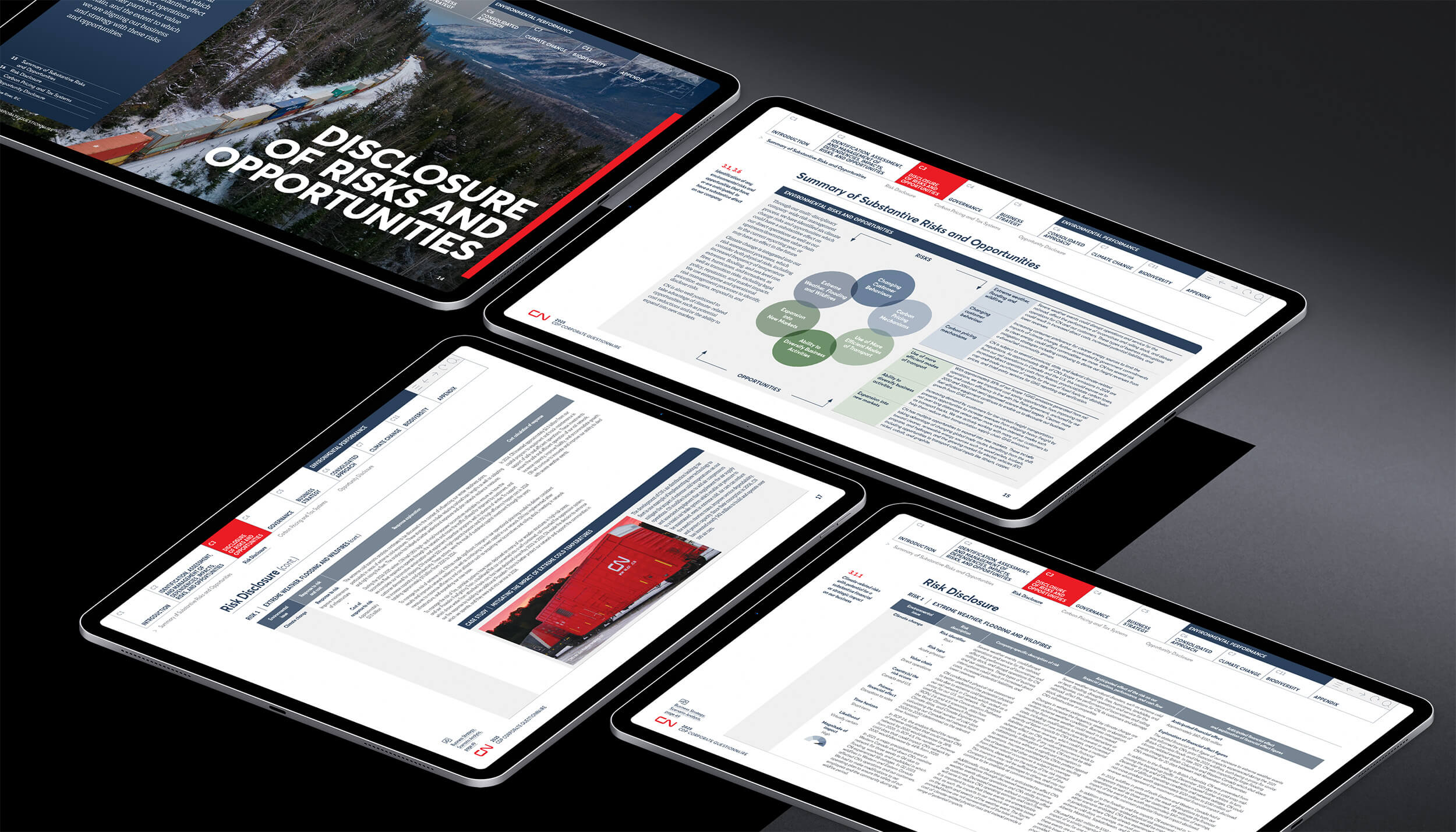 CN_CDP2025_iPad_Risk